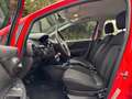 Fiat Punto 1.2 Pop/Klima/TÜV Rot - thumbnail 11