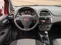 Fiat Punto 1.2 Pop/Klima/TÜV Rot - thumbnail 12