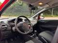 Fiat Punto 1.2 Pop/Klima/TÜV Rot - thumbnail 8