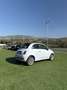 Fiat 500 1.2 Benz 69cv CAMBIO AUTOMATICO - thumbnail 6