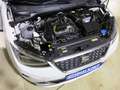 SEAT Arona 1.0 TSI OPF DSG7 Xperience Navi GRA LM17 Blanc - thumbnail 8
