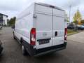 Opel Movano C Kasten HKa L3H2 3,5t Selection Weiß - thumbnail 4