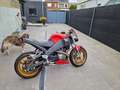 Buell XB 12 Rojo - thumbnail 3