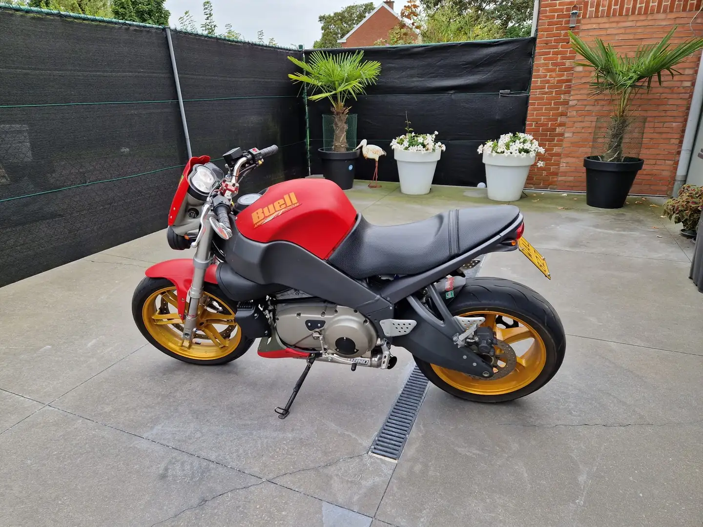 Buell XB 12 Rojo - 1