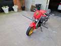 Buell XB 12 Rojo - thumbnail 2