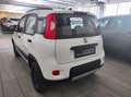 Fiat Panda 3ª serie - Panda 0.9 TwinAir Turbo 85cv Wild 4x4 Bílá - thumbnail 6