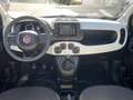 Fiat Panda Pandina Cross 1.0 firefly hybrid s Bianco - thumbnail 10