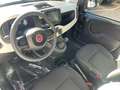 Fiat Panda Pandina Cross 1.0 firefly hybrid s Bianco - thumbnail 6