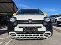 Fiat Panda Pandina Cross 1.0 firefly hybrid s Bianco - thumbnail 2