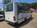 Trucks-Lkw Mercedes-Benz 0813 VARIO - Bus Weiß - thumbnail 8