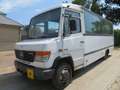 Trucks-Lkw Mercedes-Benz 0813 VARIO - Bus Weiß - thumbnail 3
