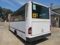 Trucks-Lkw Mercedes-Benz 0813 VARIO - Bus Weiß - thumbnail 6