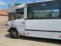 Trucks-Lkw Mercedes-Benz 0813 VARIO - Bus Weiß - thumbnail 5