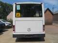 Trucks-Lkw Mercedes-Benz 0813 VARIO - Bus Weiß - thumbnail 7