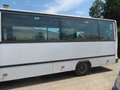 Trucks-Lkw Mercedes-Benz 0813 VARIO - Bus Weiß - thumbnail 4