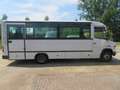 Trucks-Lkw Mercedes-Benz 0813 VARIO - Bus Weiß - thumbnail 9