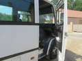 Trucks-Lkw Mercedes-Benz 0813 VARIO - Bus Weiß - thumbnail 10
