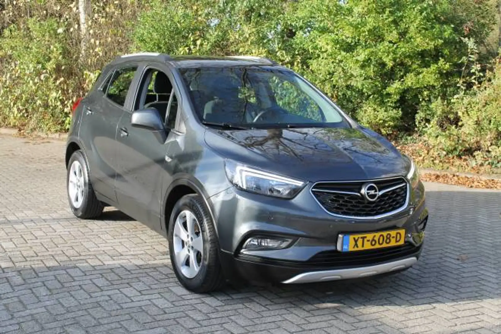 Opel Mokka X OPEL MOKKA X 1.4 Turbo 140pk Aut Innovation Grijs - 2