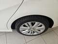 Mercedes-Benz B 180 B 180 cdi Executive Bianco - thumbnail 12