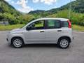 Fiat Panda 1.0 GSE S&S Hybrid Easy Van 4 posti N1 Argento - thumbnail 5