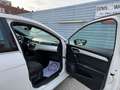 SEAT Ibiza 1,0 ECO TSI Xcellence DSG Weiß - thumbnail 22