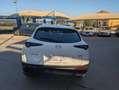 Mazda CX-30 2.5 e-Skyactiv-G Prime Line FWD Aut. 103kW Blanco - thumbnail 5