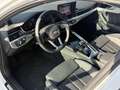 Audi A4 allroad quattro 40 TDI | 204 PS | AHK | HUD | Kamera Weiß - thumbnail 17