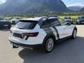 Audi A4 allroad quattro 40 TDI | 204 PS | AHK | HUD | Kamera Weiß - thumbnail 8