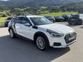 Audi A4 allroad quattro 40 TDI | 204 PS | AHK | HUD | Kamera Weiß - thumbnail 12