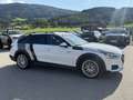 Audi A4 allroad quattro 40 TDI | 204 PS | AHK | HUD | Kamera Weiß - thumbnail 11