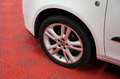 Skoda Fabia 1.4*1Hand*Allwetterreifen* Weiß - thumbnail 12
