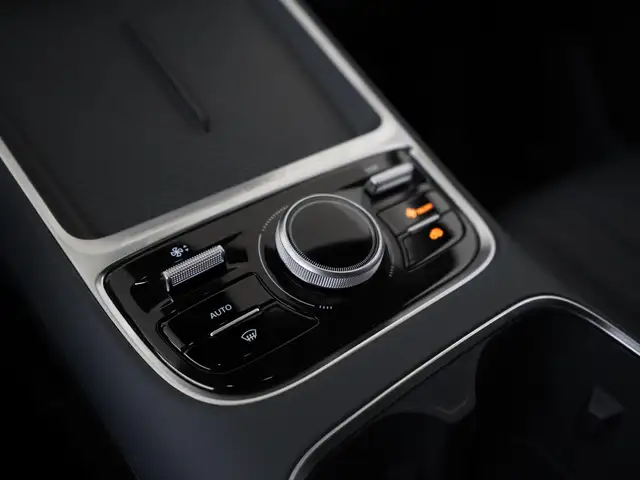 Geely Starray Em-I view 10