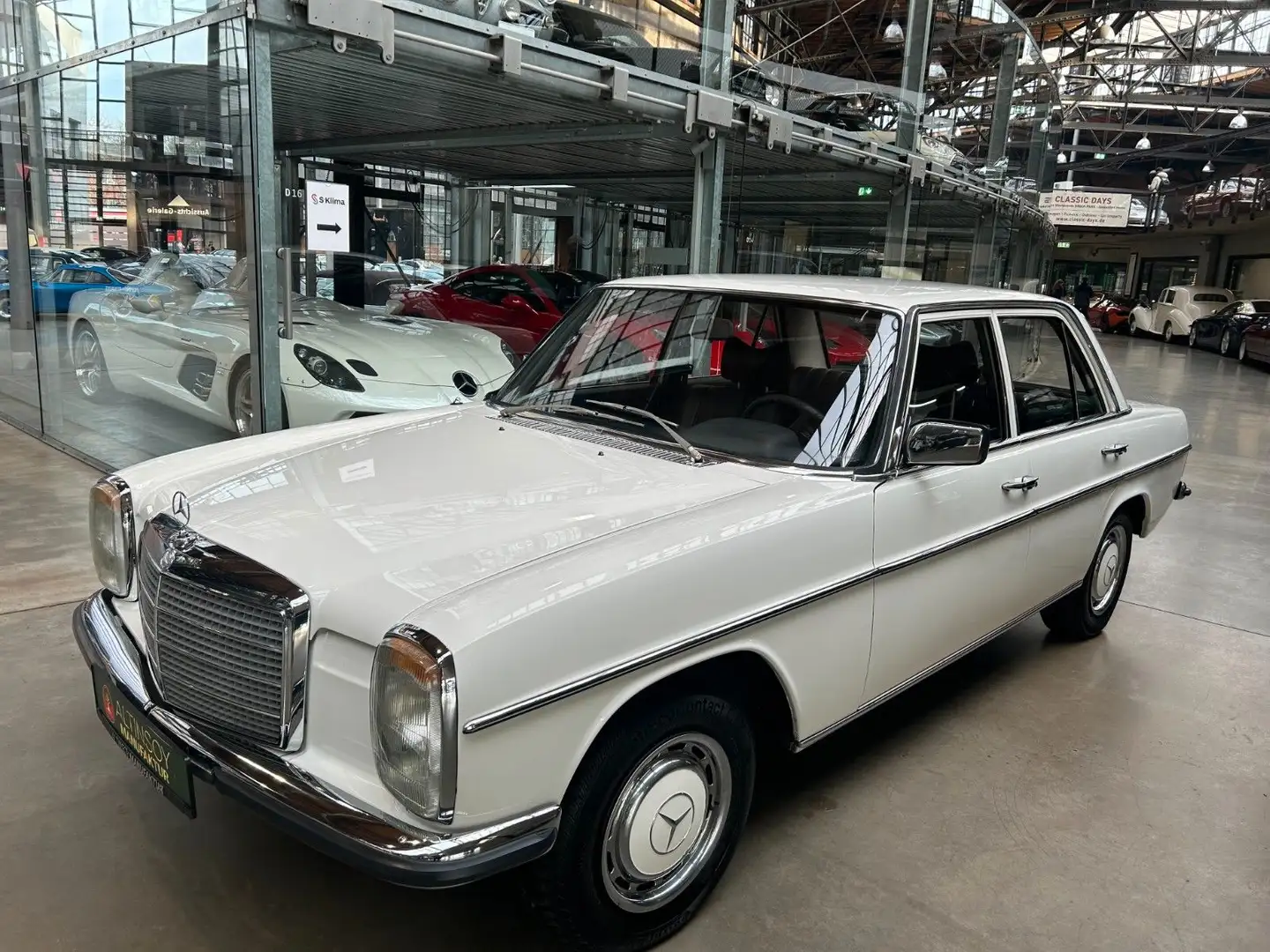 Mercedes-Benz 230 /6 seltener 6 Zylinder-top Zustand Weiß - 1