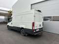Iveco Daily 35C15HV/P 3520L Weiß - thumbnail 2