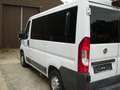 Fiat Ducato 130 L1H1 RS: 3000 mm Weiß - thumbnail 11