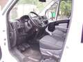 Fiat Ducato 130 L1H1 RS: 3000 mm Weiß - thumbnail 4
