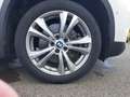 BMW X1 xDrive20d Aut Sport Line AHK Händler/Export Panora Blanc - thumbnail 18
