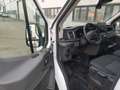 Ford Transit Transit 310 2.0TDCi EcoBlue 130CV PM-TM L2H2 Tren - thumbnail 11