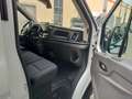 Ford Transit Transit 310 2.0TDCi EcoBlue 130CV PM-TM L2H2 Tren - thumbnail 16