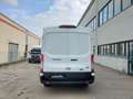 Ford Transit Transit 310 2.0TDCi EcoBlue 130CV PM-TM L2H2 Tren - thumbnail 6