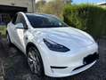 Tesla Model Y Standard propulsion 300ch + pilote amélioré - thumbnail 6