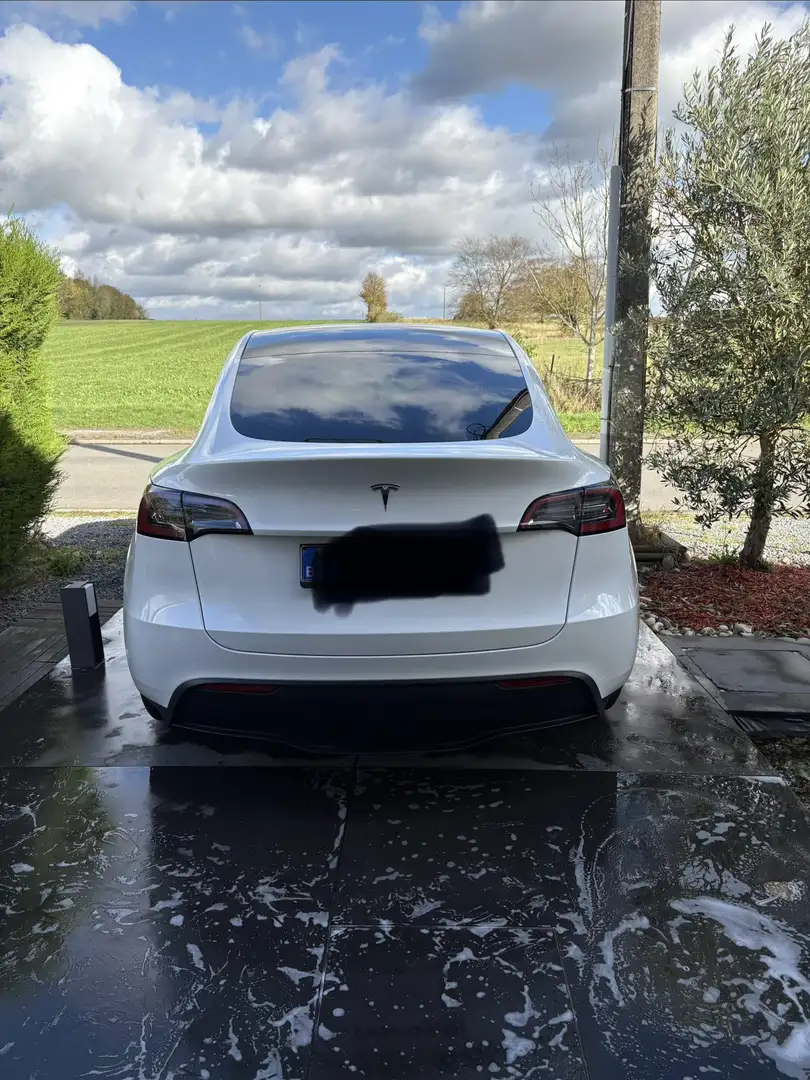 Tesla Model Y Standard propulsion 300ch + pilote amélioré - 2