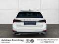 Skoda Octavia Kombi Scout 2,0 TDI DSG 4x4 5t. Weiß - thumbnail 6