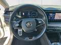 Skoda Octavia Kombi Scout 2,0 TDI DSG 4x4 5t. Weiß - thumbnail 11