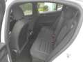 Alfa Romeo Stelvio Stelvio 2022 2.2 Super Business Q4 190cv auto Bianco - thumbnail 6