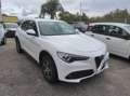 Alfa Romeo Stelvio Stelvio 2022 2.2 Super Business Q4 190cv auto Bianco - thumbnail 2
