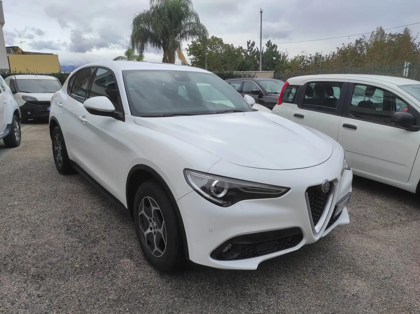 Alfa Romeo Stelvio Stelvio 2022 2.2 Super Business Q4 190cv auto Bianco - 2