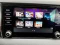 Skoda Karoq 2.0 TDI Style 4x4 LED+NAV+RADAR+RFK+ASSIST Schwarz - thumbnail 20