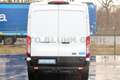 Ford Transit 350 Kasten L3H2 + Navi 360°-Cam AHK 2,5T Weiß - thumbnail 6