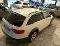 Audi A4 allroad 2.0 TDI 177 CV S tronic Business Plus Blanc - thumbnail 5